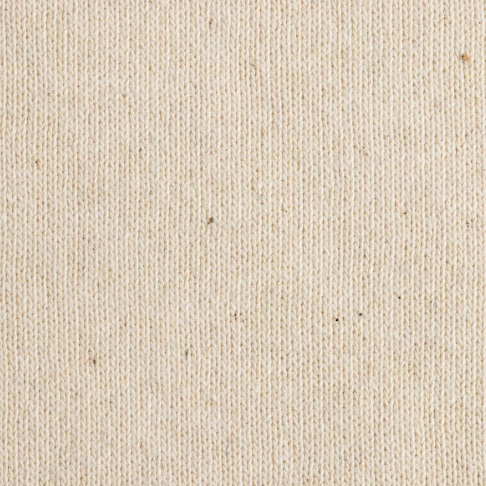 IQONIQ Manuel recycled cotton t-shirt undyed