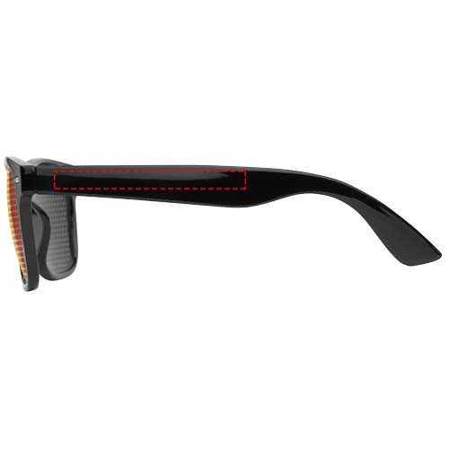 Vision sunglasses