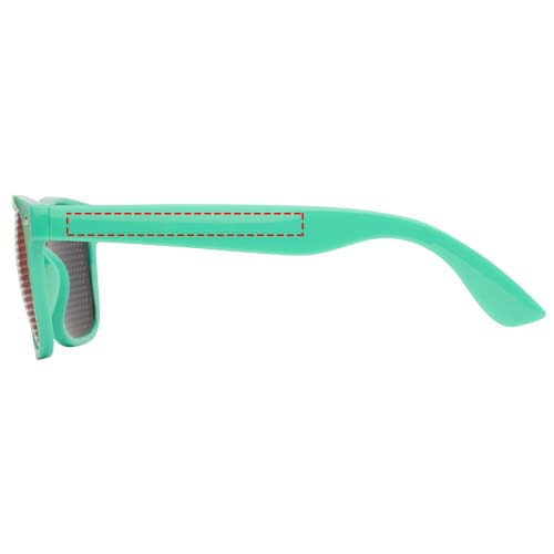 Vision sunglasses