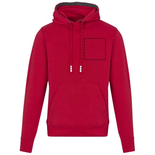 Arora 300 g/m2 unisex hoodie