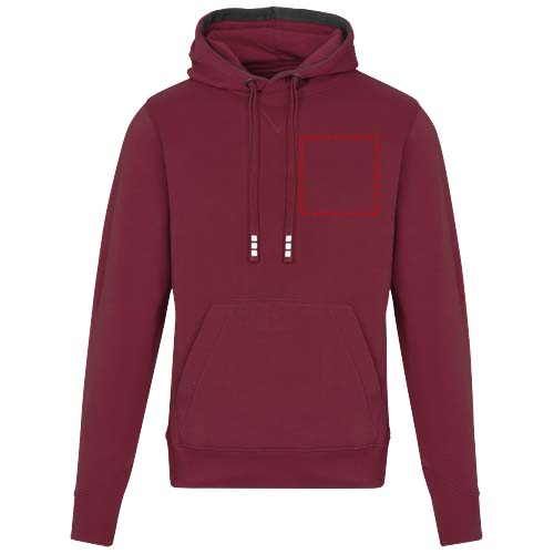 Arora 300 g/m2 unisex hoodie