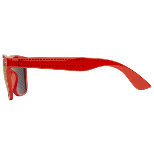 Vision sunglasses