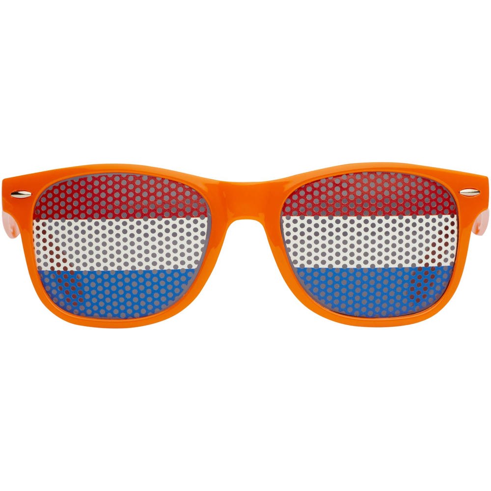 Vision sunglasses