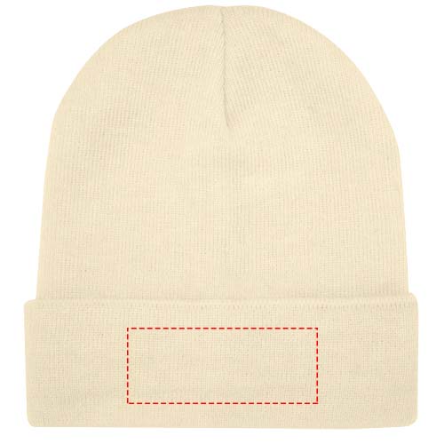 Irwin beanie